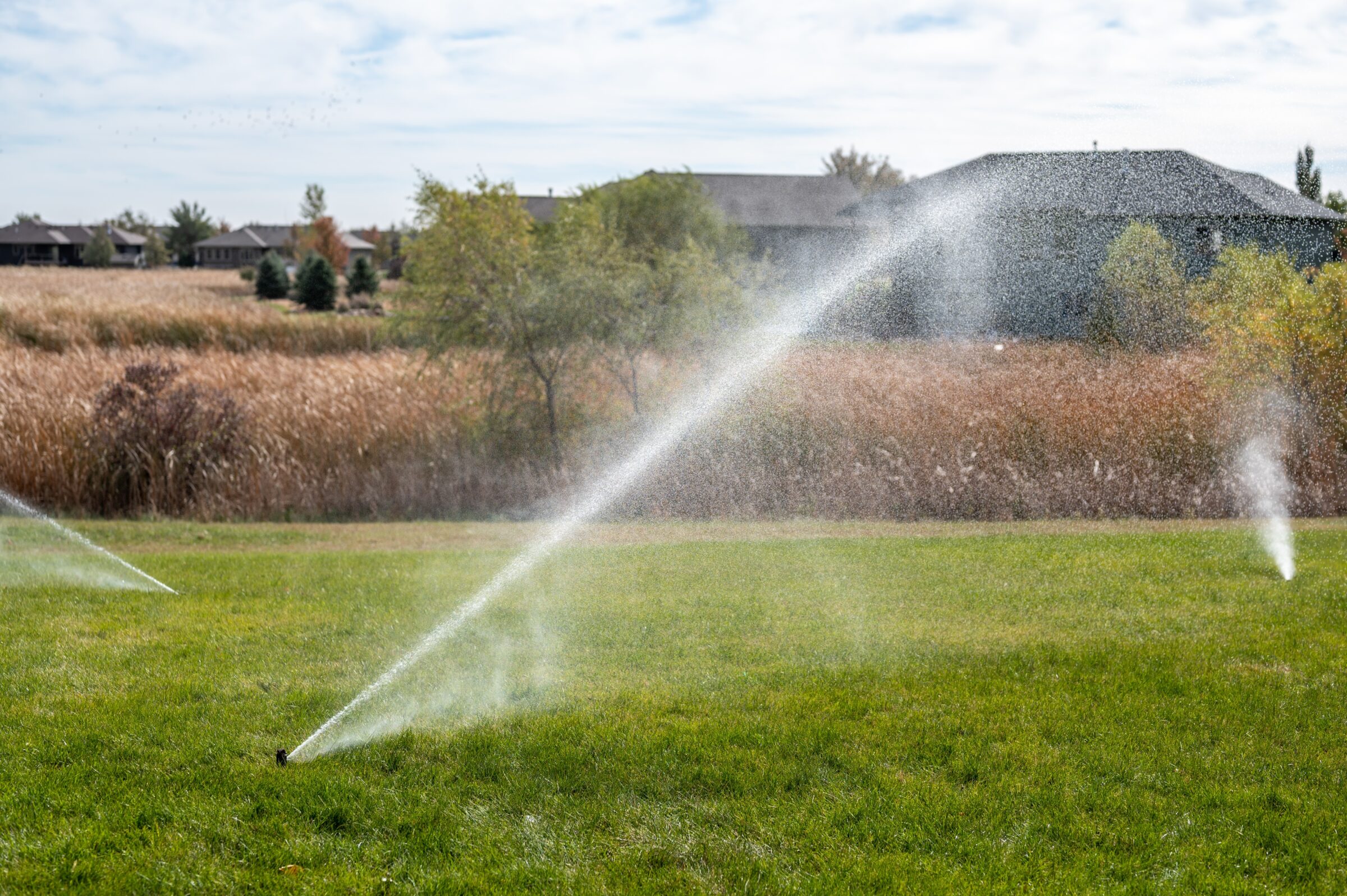 sprinkler blowout process